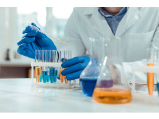 Grand Clinical Laboratory - معمل جراند للتحاليل الطبية