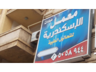 معمل الإسكندرية