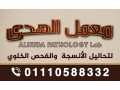 alhuda-pathology-labmaaml-alhd-lthalyl-alansg-o-alkhlaya-small-0