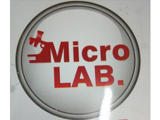 Micro lab