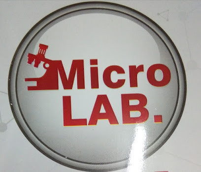 micro-lab-big-0