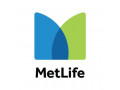 metlife-egypt-small-0