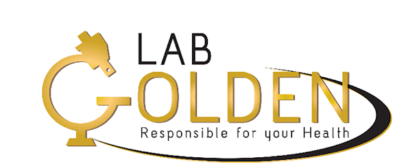 maaaml-goldn-lab-big-0