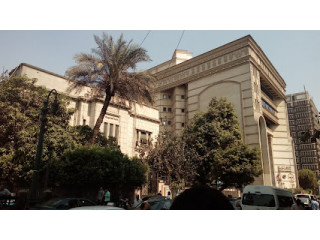 The Egyptian Lawyers Association